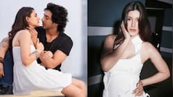 Meet New Wave Of Sensational Bollywood Debutants: Ahaan Panday To Aneet Padda