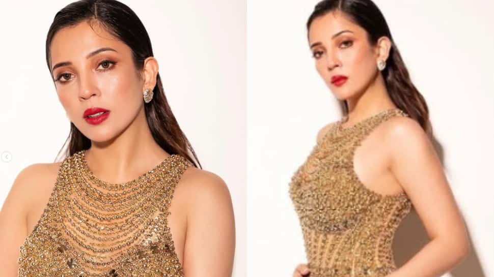 Barkha Singh's Dream Role Has Alia Bhatt Connection - Find Out What It Is