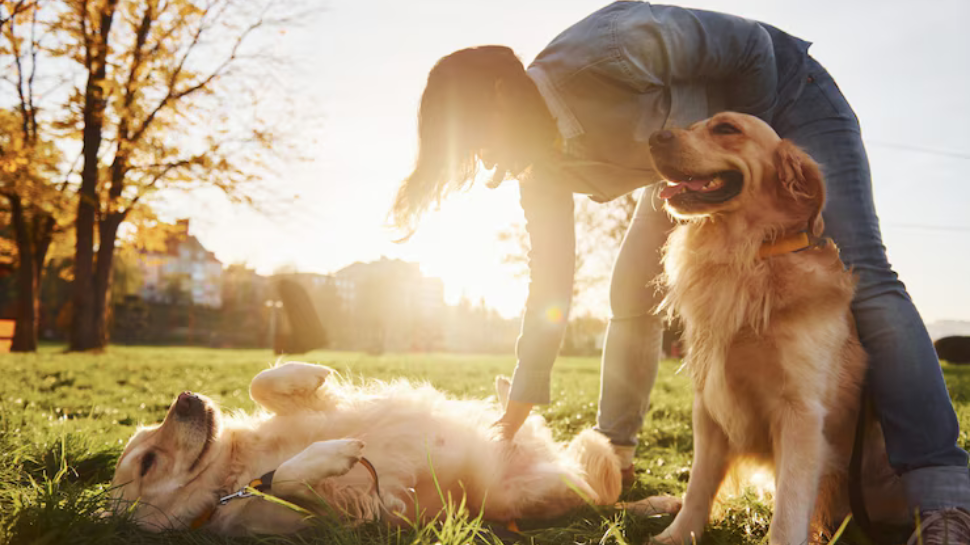 Spend Time with Loved Ones