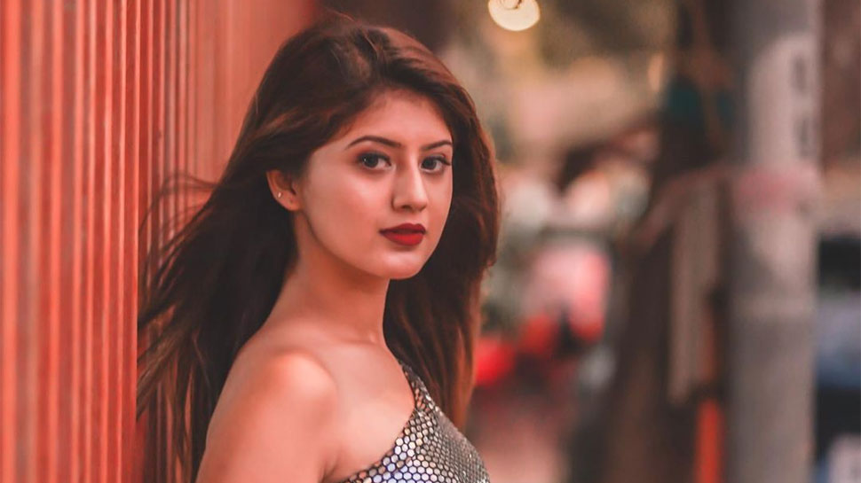 Arishfa Khan In Bigg Boss 19