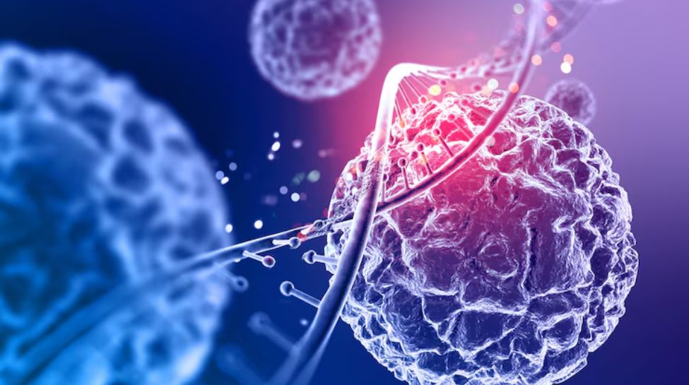 A Lifelong Gift: 7 Crucial Things To Know About Stem Cell Banking Before Delivery A Lifelong Gift: 7 Crucial Things To Know About Stem Cell Banking Before Delivery