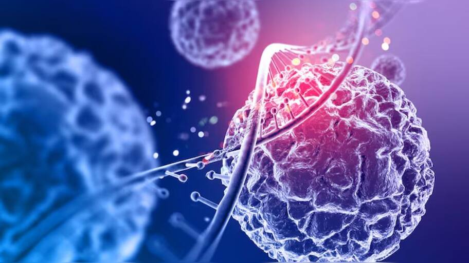 A Lifelong Gift: 7 Crucial Things To Know About Stem Cell Banking Before Delivery