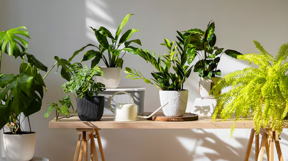 Bring nature indoors, but keep it simple