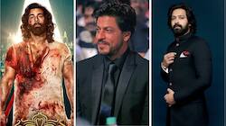 71st National Film Awards Winners Full List: Animal Wins...