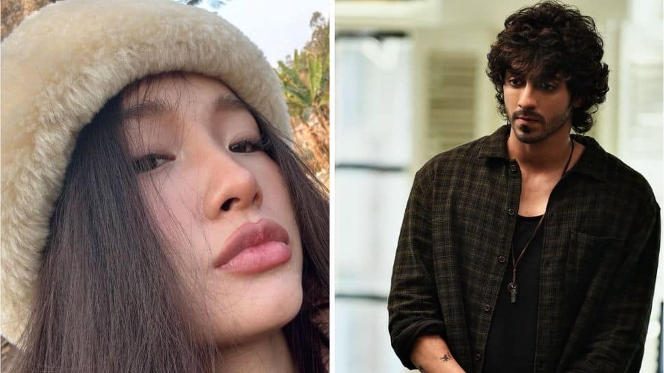 'Saiyaara' Star Ahaan Panday Rumoured To Be Dating THIS Mizoram Beauty Queen After Links With Tara Sutaria And Shruti Chauhan