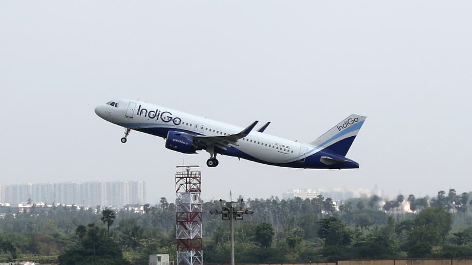 Flight Chaos: IndiGo Suspends Passenger Who Assaulted Co-Traveller Mid-Air