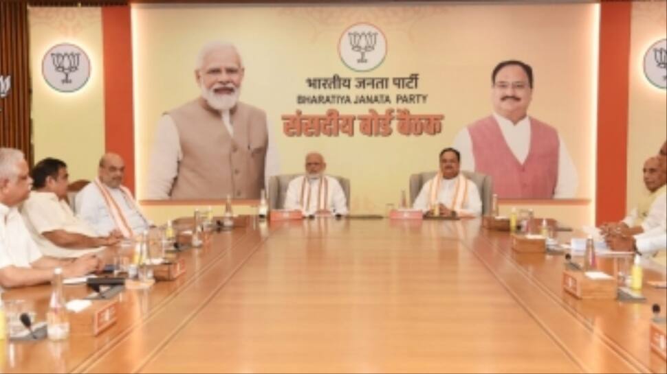 BJP`s President Elections Likely To Take Place After Vice President Poll