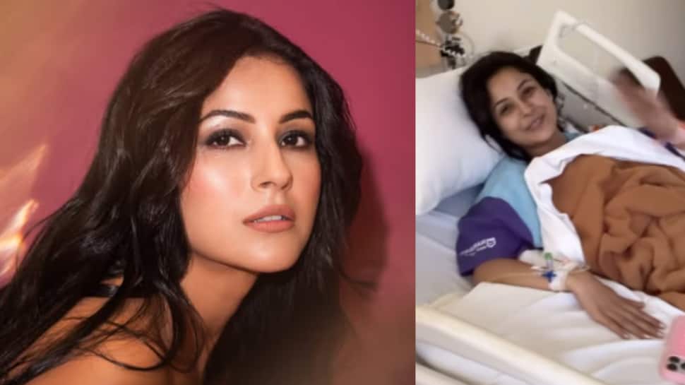 Shehnaaz Gill Hospitalised: Karan Veer Mehra Shares Video, Seeks Prayers For Her Recovery