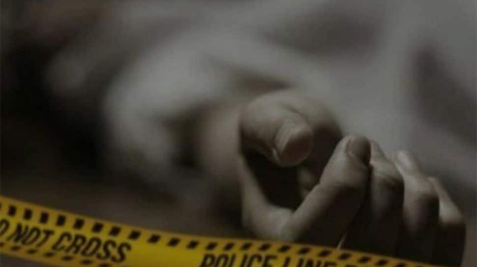 Delhi: 55-Year-Old Man Dies After Daughter Strikes Him With Utensil