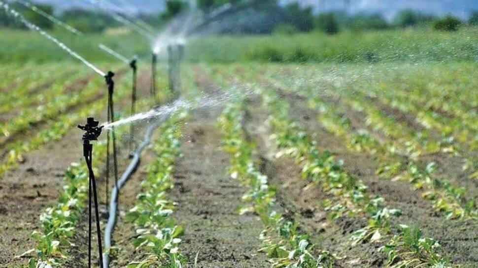 Rs 6,411 Crore Disbursed For Food Processing Units Under PMKSY Scheme | Personal Finance News  zeenews.india.com