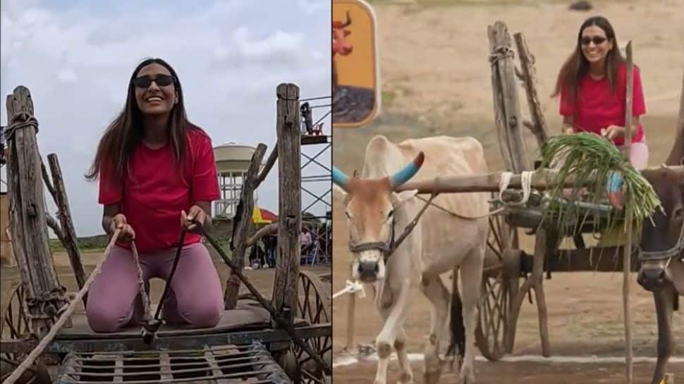 Chhoriyan Chali Gaon Episode Update: Divas Take On Bullock Cart Challenge — Who Will Take The Lead?