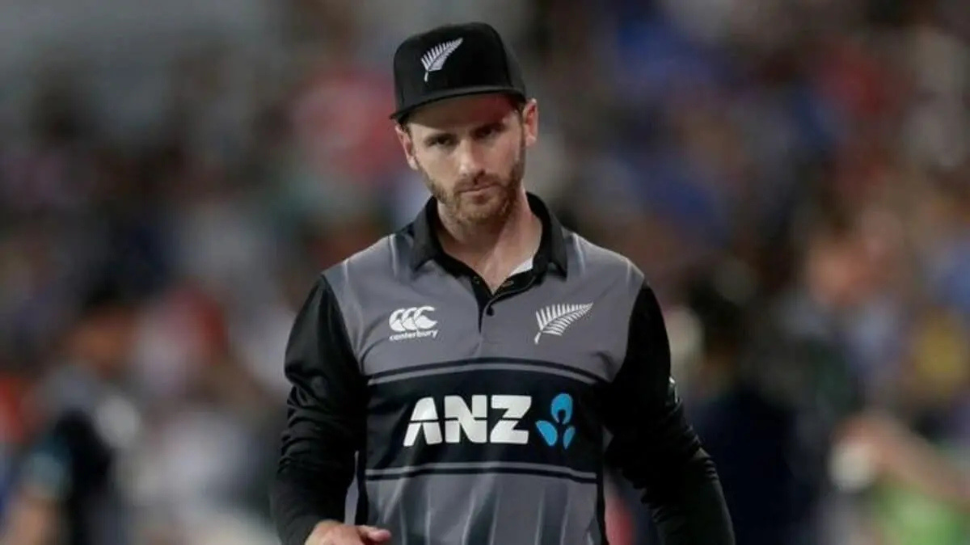 Net Worth vs NZC Revenue