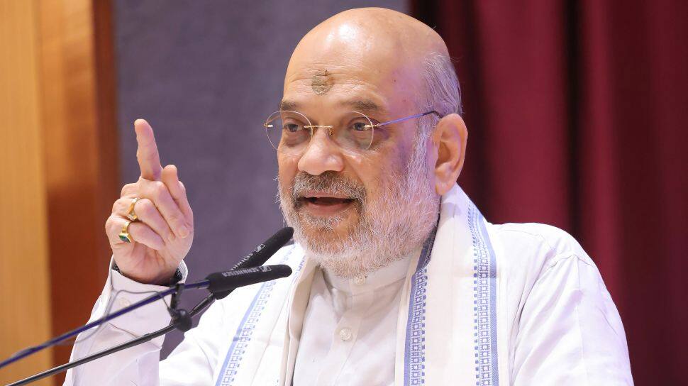 "Should Names Of Infiltrators Be Removed From Voter List Or Not?": Amit Shah Targets Opposition Over Bihar SIR Exercise