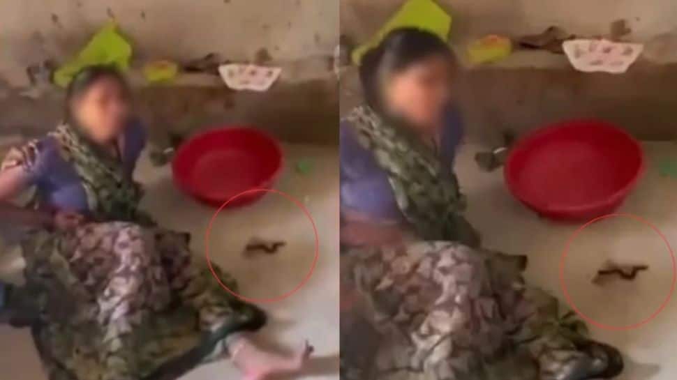 MP: Woman Gives Birth To Snakes? Village Buzzes, Doctor Uncovers Startling Reality