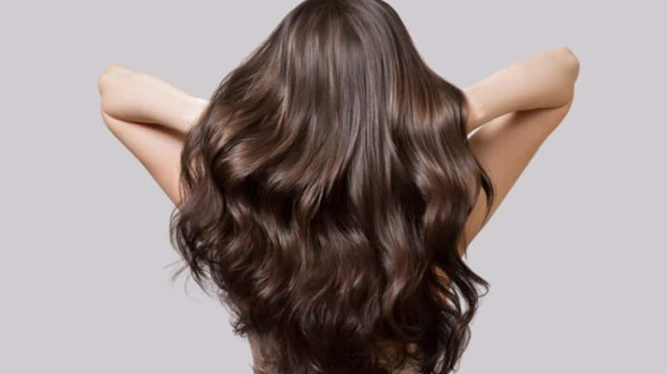 What Is Apricot Oil? Discover Its Benefits And How It Can Naturally Transform Your Hair’s Strength And Shine