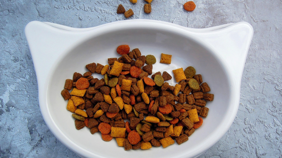 Pet Food Taster