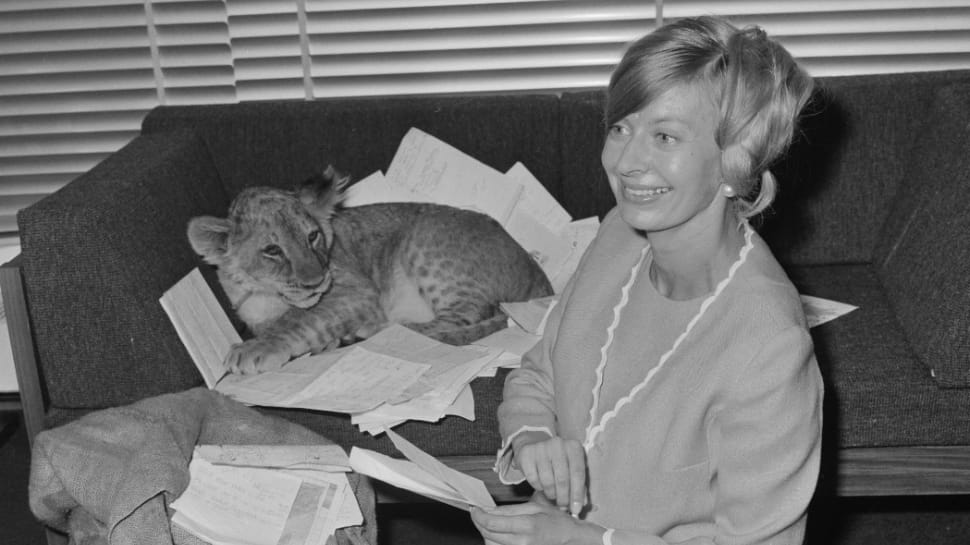 Blue Peter Legend Biddy Baxter Passes Away At 92
