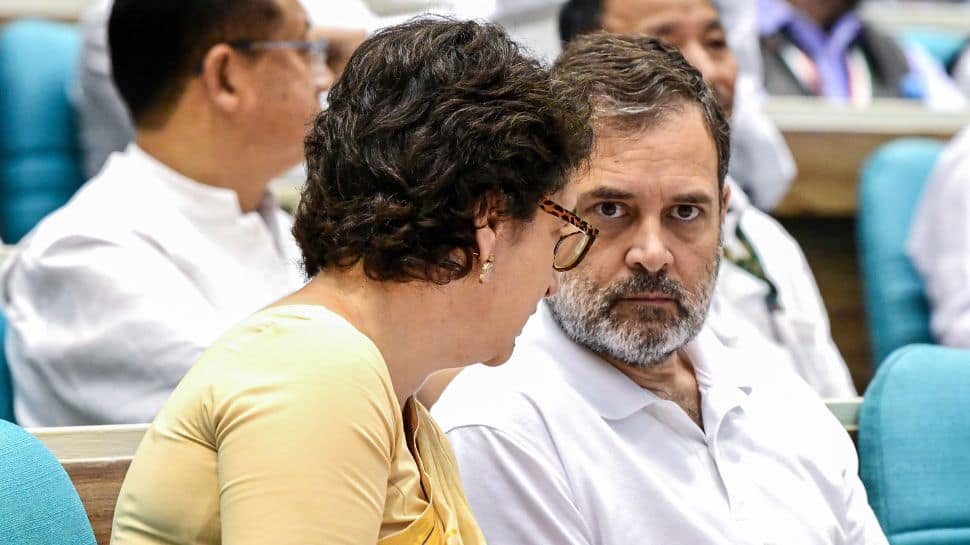 `Paw`litical Row: Priyanka, Rahul Slam SC Order On Stray Dog Removal, Calls It `Inhumane treatment`