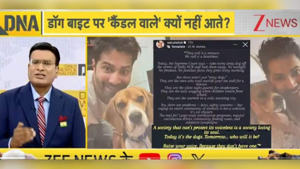 Star Power, Street Dogs: How Celeb Voices Are Shaping India`s Canine Conundrum - DNA Decoded