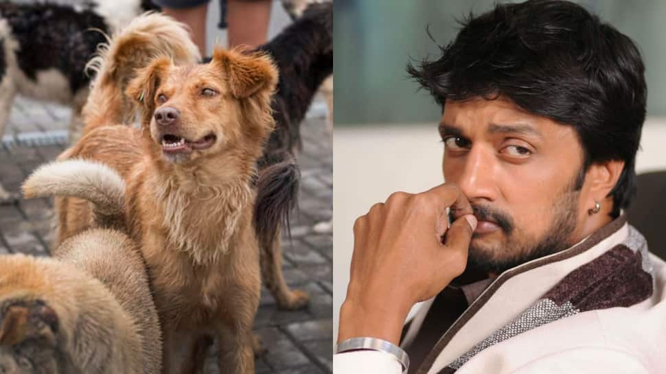Kichcha Sudeepa Voices Concern Over Supreme Court’s Stray Dog Removal Order In Delhi-NCR, Calls For Adoption And Care