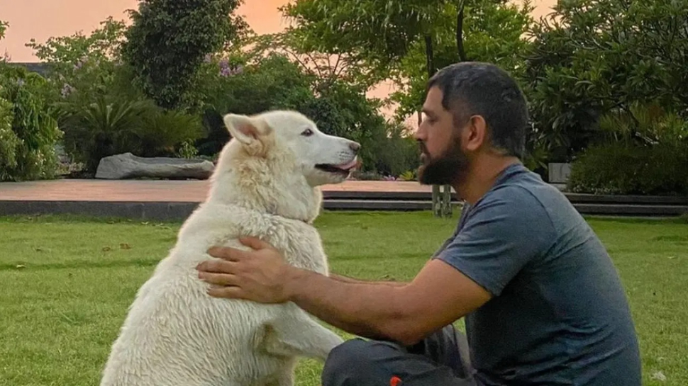 MS Dhoni