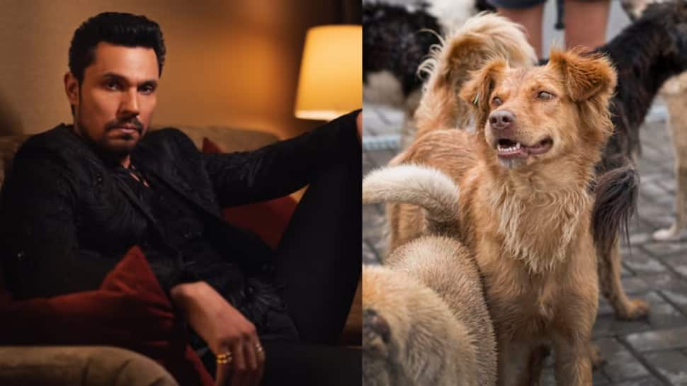 Randeep Hooda Welcomes SC’s Decision To Revisit Stray Dog Verdict, Urges 'Humane' And 'Practical' Solutions