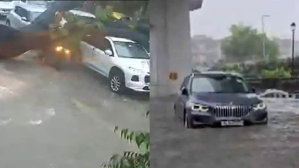Delhi-NCR Rains: Tree Uprooted In Kalkaji; BMW Stuck In APS Colony | VIDEOS