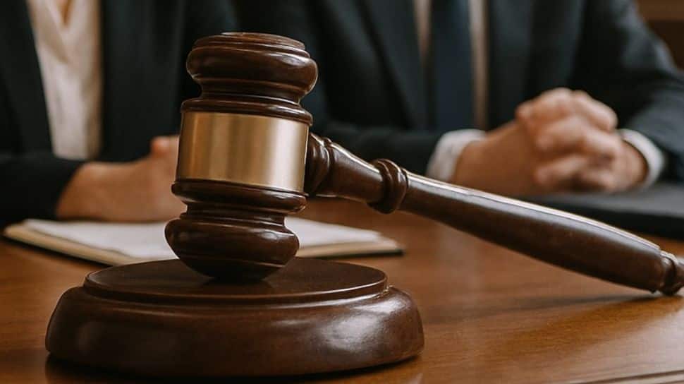 Telangana Man Sentenced To Death For Rape, Murder Of 12-Year-Old Girl