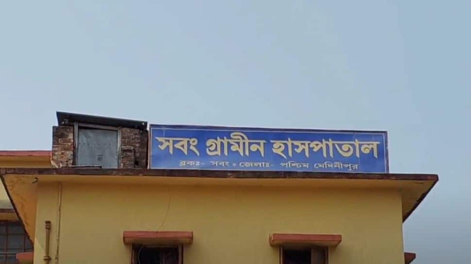 Sabang: 30 Injured, 7 Critical After Hornet Attack During Independence Day School March In Bengal