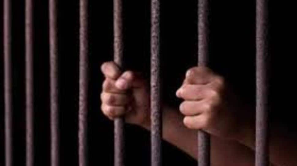 India Got Independence 78 Years Ago, Its High Time We Give Our Businesses More Freedom: Analysis
