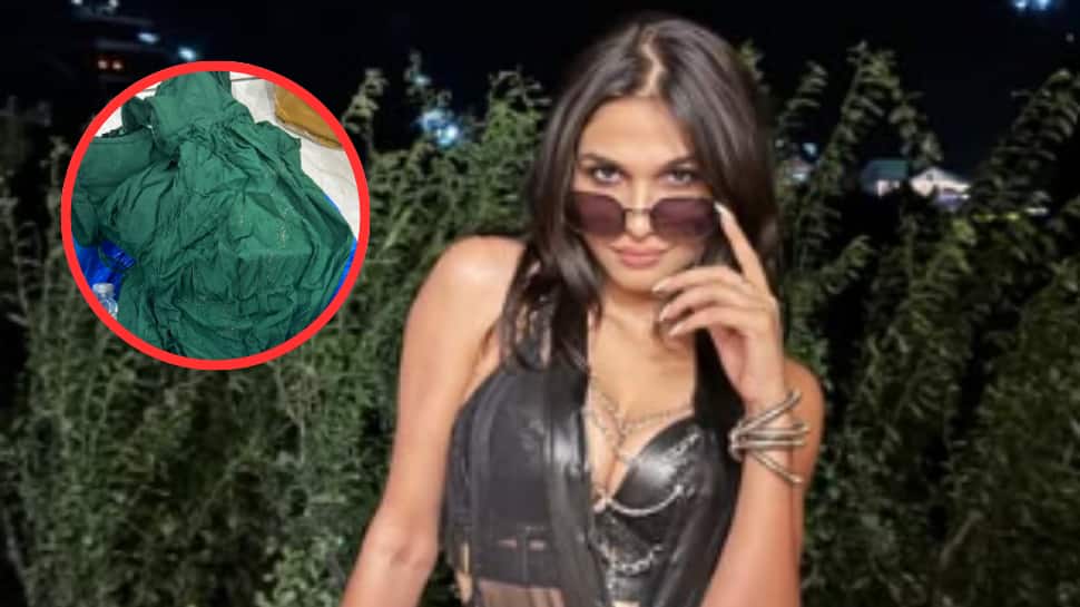 'Gown Was Destroyed, Wet & Dusty': Designer Accuses Bigg Boss 18 Fame Kashish Kapoor Of Damaging Rs 85,000 Worth Outfit, Shares Screenshots