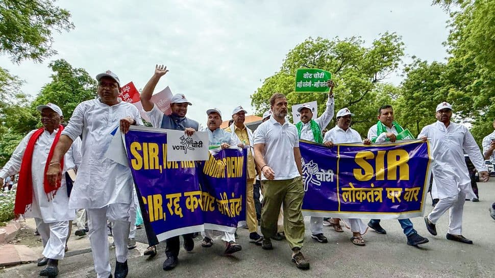 Rahul Gandhi`s Yatra Is Nothing But `Samvidhan Badnam Yatra`: BJP Leader CR Kesavan