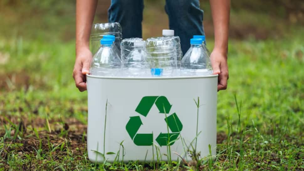 Cut Plastic Waste: 10 Easy Home Steps for a Healthier Planet