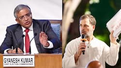 EC Warns Rahul Gandhi To Submit Affidavit Or Apologize Over Vote Theft Claims