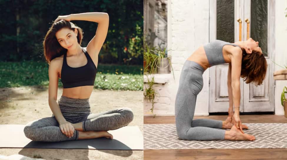 Melt Stress And Boost Flexibility 