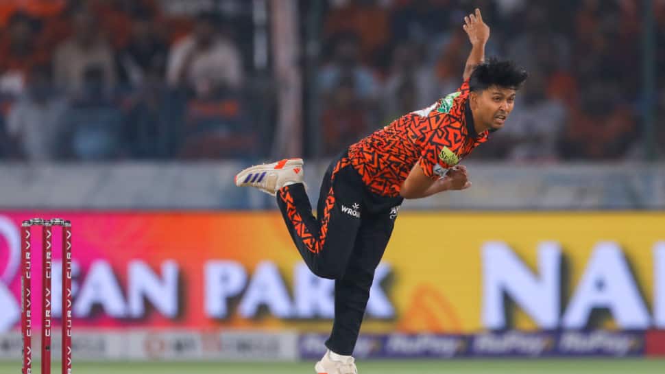 Zeeshan Ansari (Meerut Mavericks)