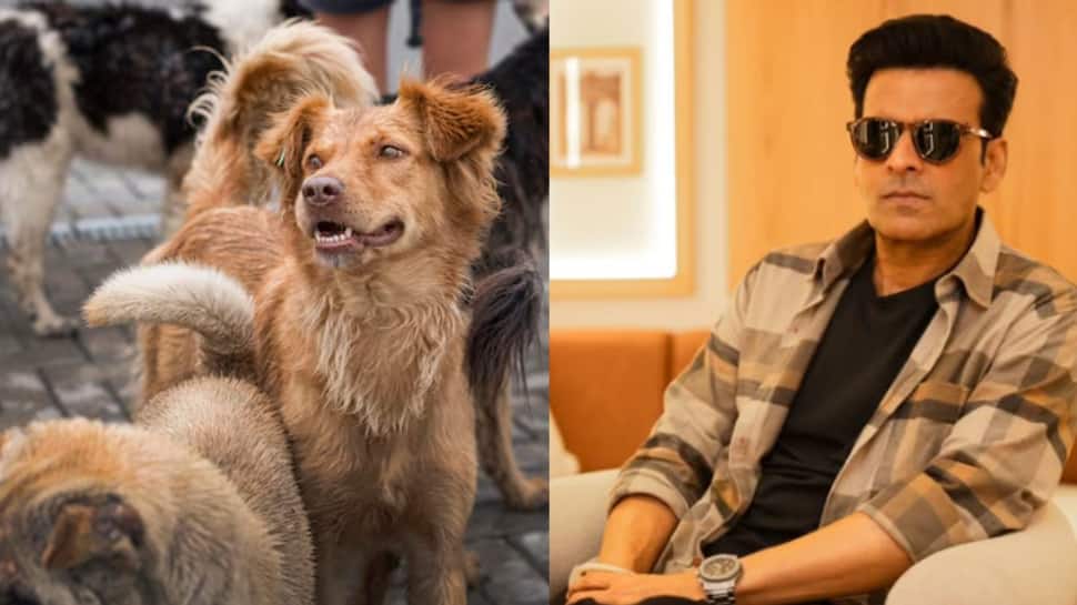 Manoj Bajpayee Joins Stray Dog Verdict Debate With Balanced Take, Urges Empathy For Both People And Animals