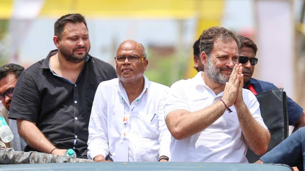 Will Work To Make Rahul Gandhi Next PM: Tejashwi Yadav At Voter Adhikar Yatra