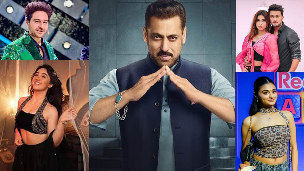 Bigg Boss 19 New Contestants List