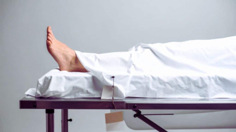 Student Found Dead at IIIT-Idupulapaya In Andhra Pradesh; Teen Dies In Telangana Over Mobile Gaming Addiction