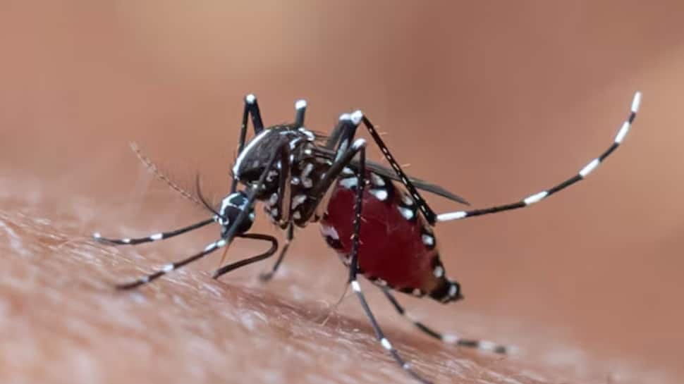 Dengue Spreads in Patna: Cases Rise, Authorities Respond to Outbreak