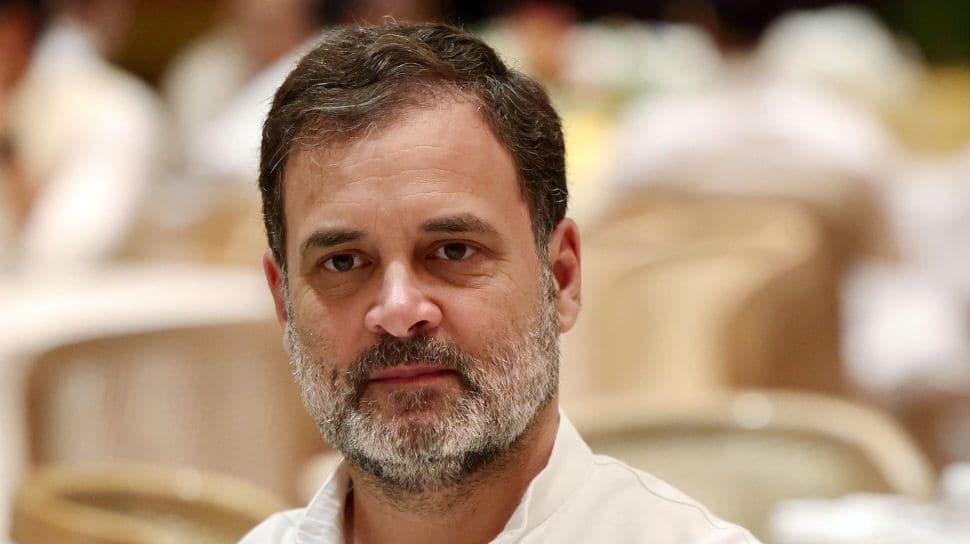 ‘Backed By Science’: Rahul Gandhi Hails SC’s New Stray Dogs Order