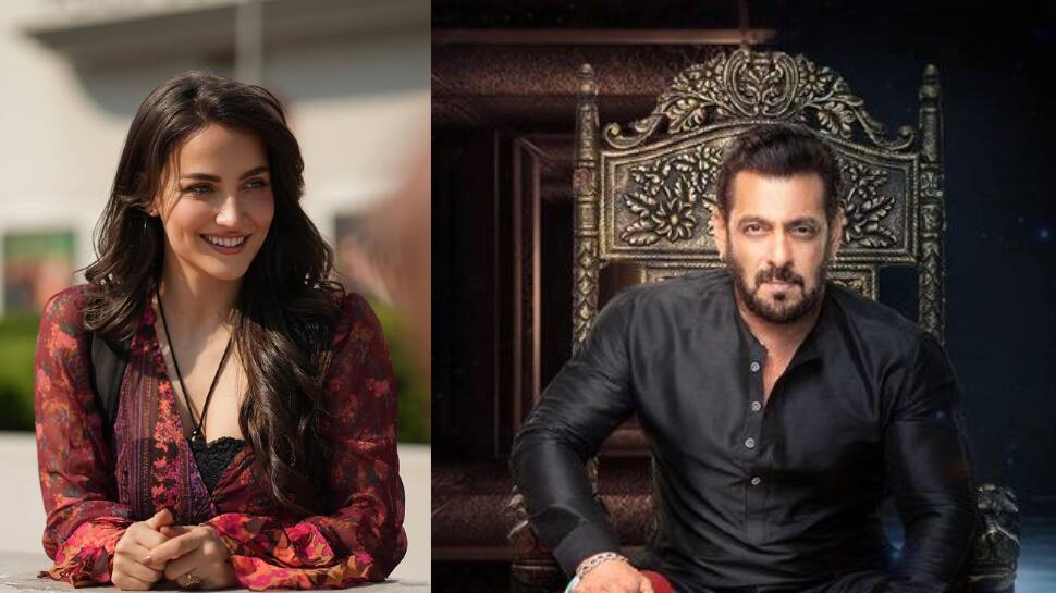 Bigg Boss entry