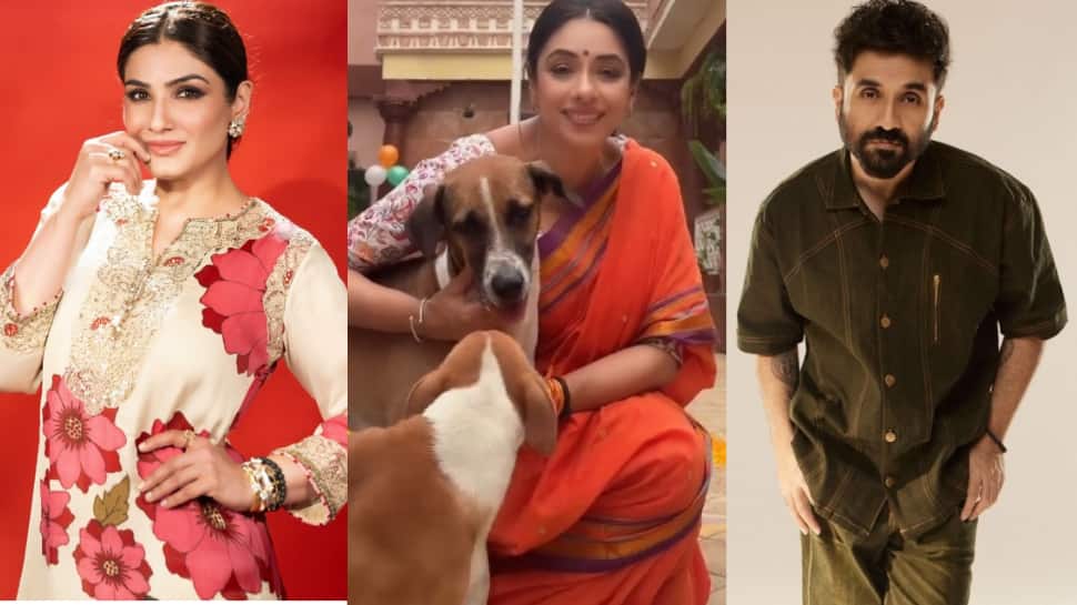 'Dogesh bhai! Hum Tumhare Saath Hain': Raveena Tandon, Rupali Ganguly And Other Celebs Applaud Supreme Court's Revised Verdict On Stray Dogs