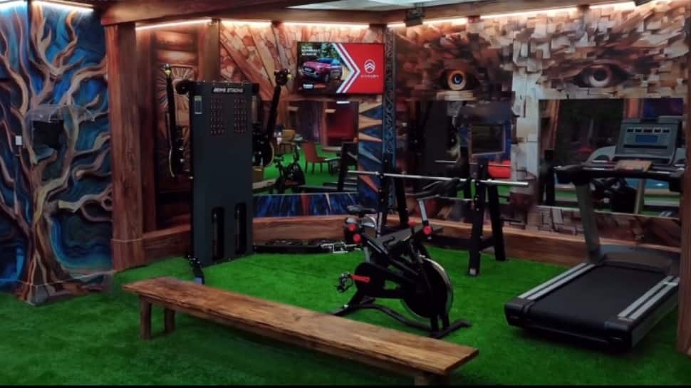 Gym Area Gym Area