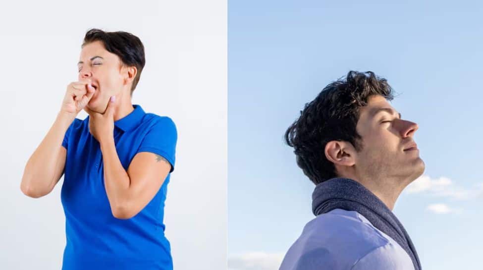 Mouth Breathing vs Nose Breathing: Why Your Oral Habits Affect Sleep, Skin, And Immunity | Health News