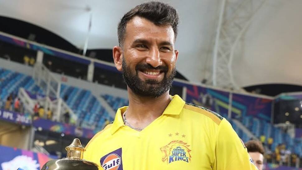 IPL Earnings