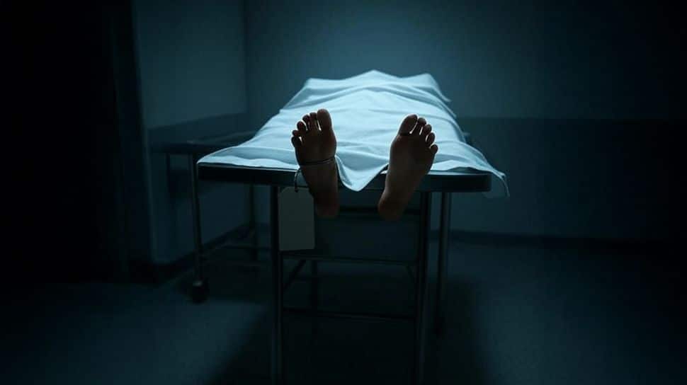 Arunachal Pradesh: 10-Year-Old Charred To Death In Government School Fire, Three Students Injured