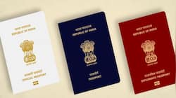 Decoded: The Colour Secrets Of Indian Passports And Who Gets Them
