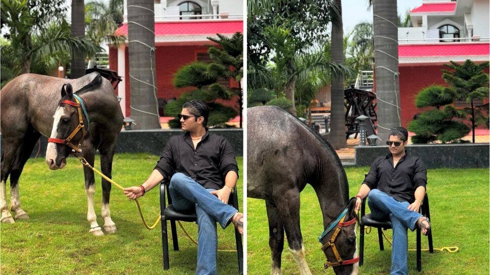Mridul’s Massive Fan Following Mridul’s Massive Fan Following